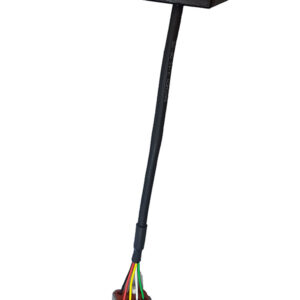 E-throttle (RET)